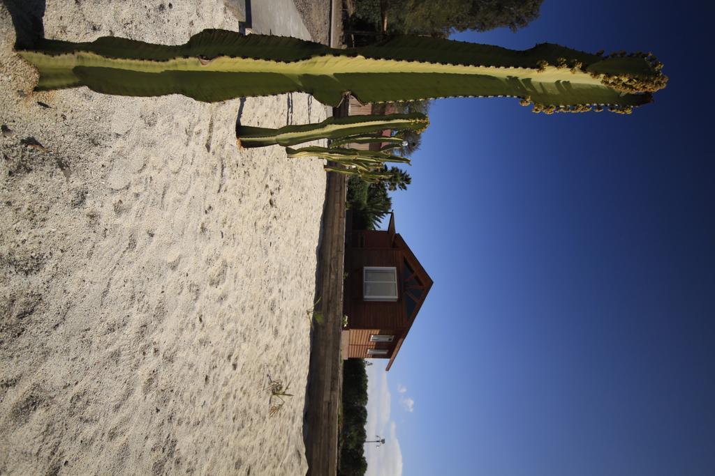 Hotel El Bramador Copiapo Bagian luar foto