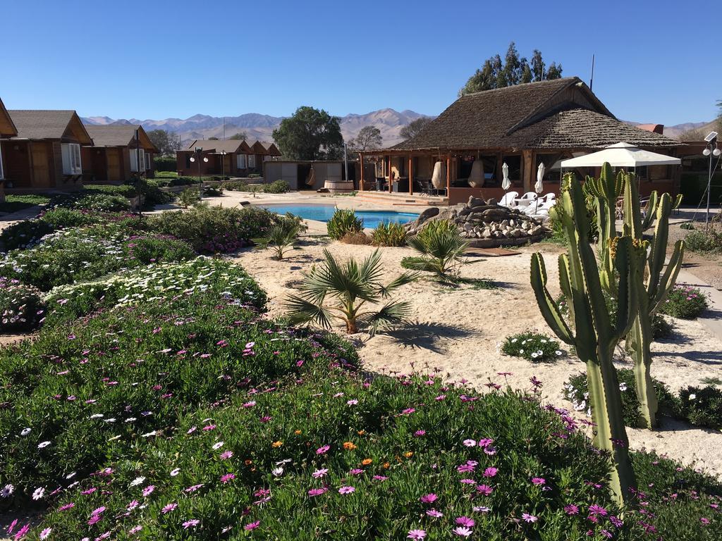 Hotel El Bramador Copiapo Bagian luar foto